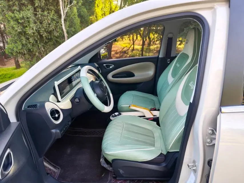 2023 WuLing BinGuo BEV 31.9KWH,autocango,china used car exporter,china ev exporter,chinese used car exporter,chinese used ev exporter