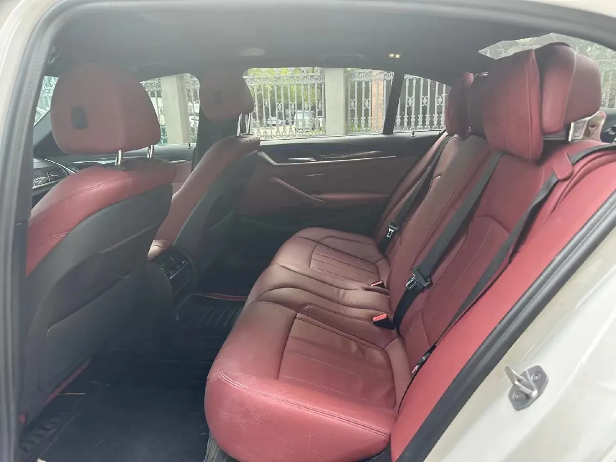 2020 BMW 5 Series 2.0T 252HP L4 8AT,autocango,china used car exporter,china ev exporter,chinese used car exporter,chinese used ev exporter