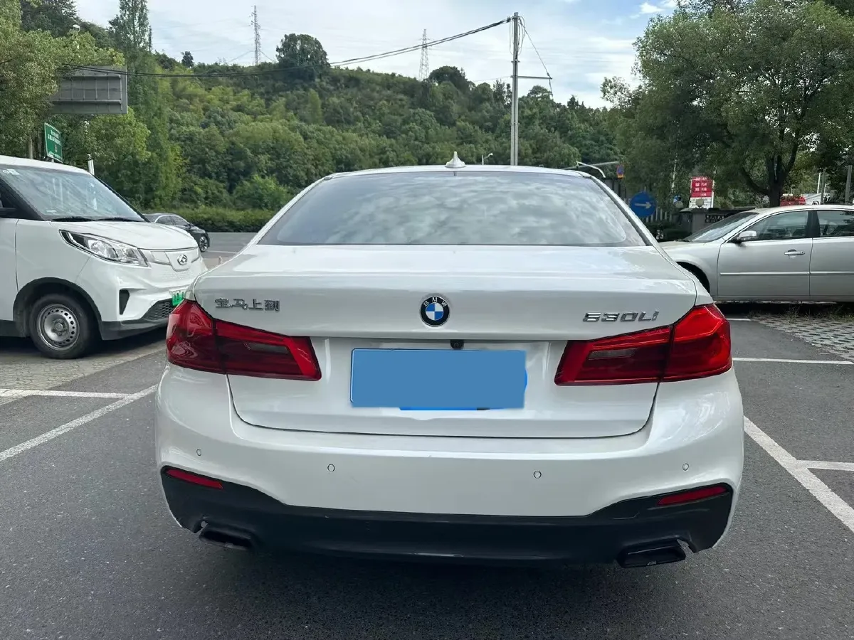 2020 BMW 5 Series 2.0T 252HP L4 8AT,autocango,china used car exporter,china ev exporter,chinese used car exporter,chinese used ev exporter