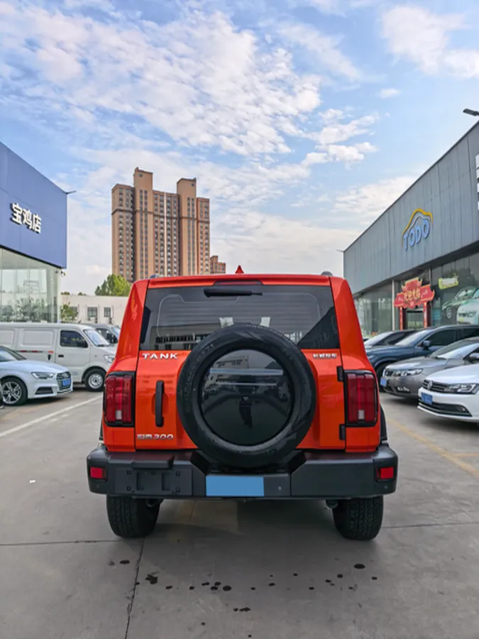 2023 Tank 300 2.0T 227HP L4 8AT,autocango,china used car exporter,china ev exporter,chinese used car exporter,chinese used ev exporter