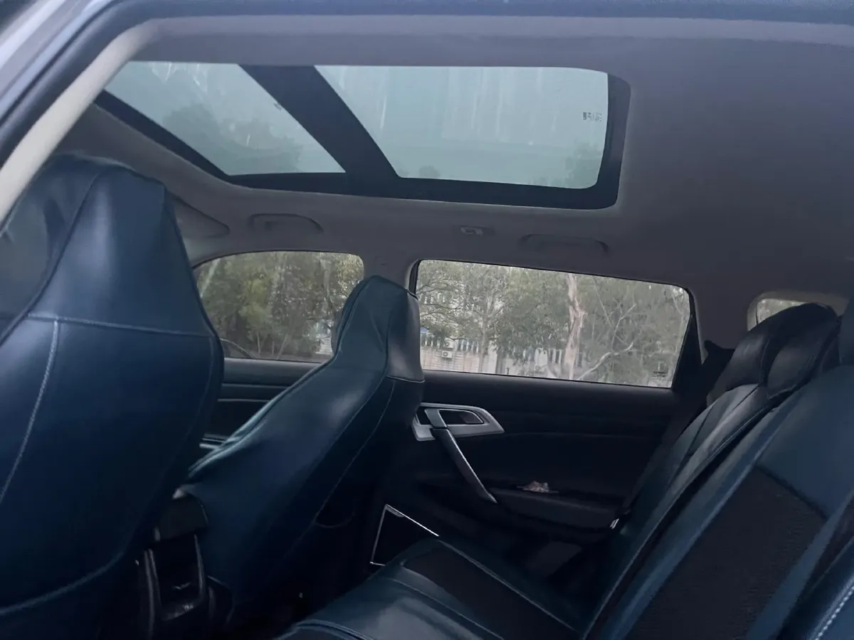 2020 Great Wall Poer 2.0T 163HP L4 8AT,autocango,china used car exporter,china ev exporter,chinese used car exporter,chinese used ev exporter