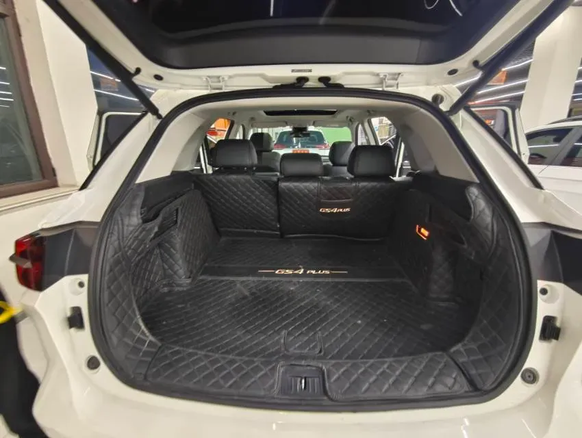 2021 GAC Trumpchi GS4 Plus 2.0T 252HP L4 6AT,autocango,china used car exporter,china ev exporter,chinese used car exporter,chinese used ev exporter