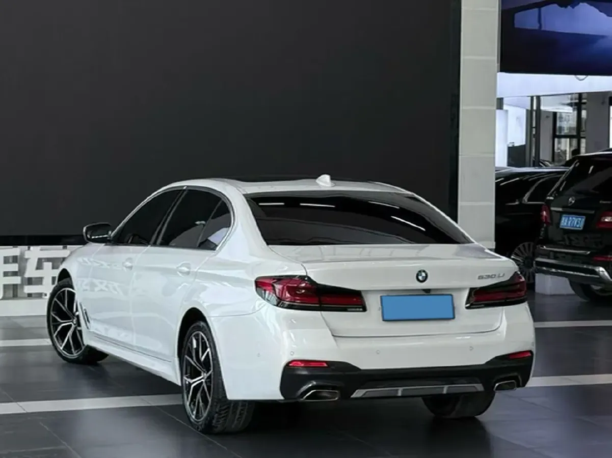 2021 BMW 5 Series 2.0T 252HP L4 8AT,autocango,china used car exporter,china ev exporter,chinese used car exporter,chinese used ev exporter