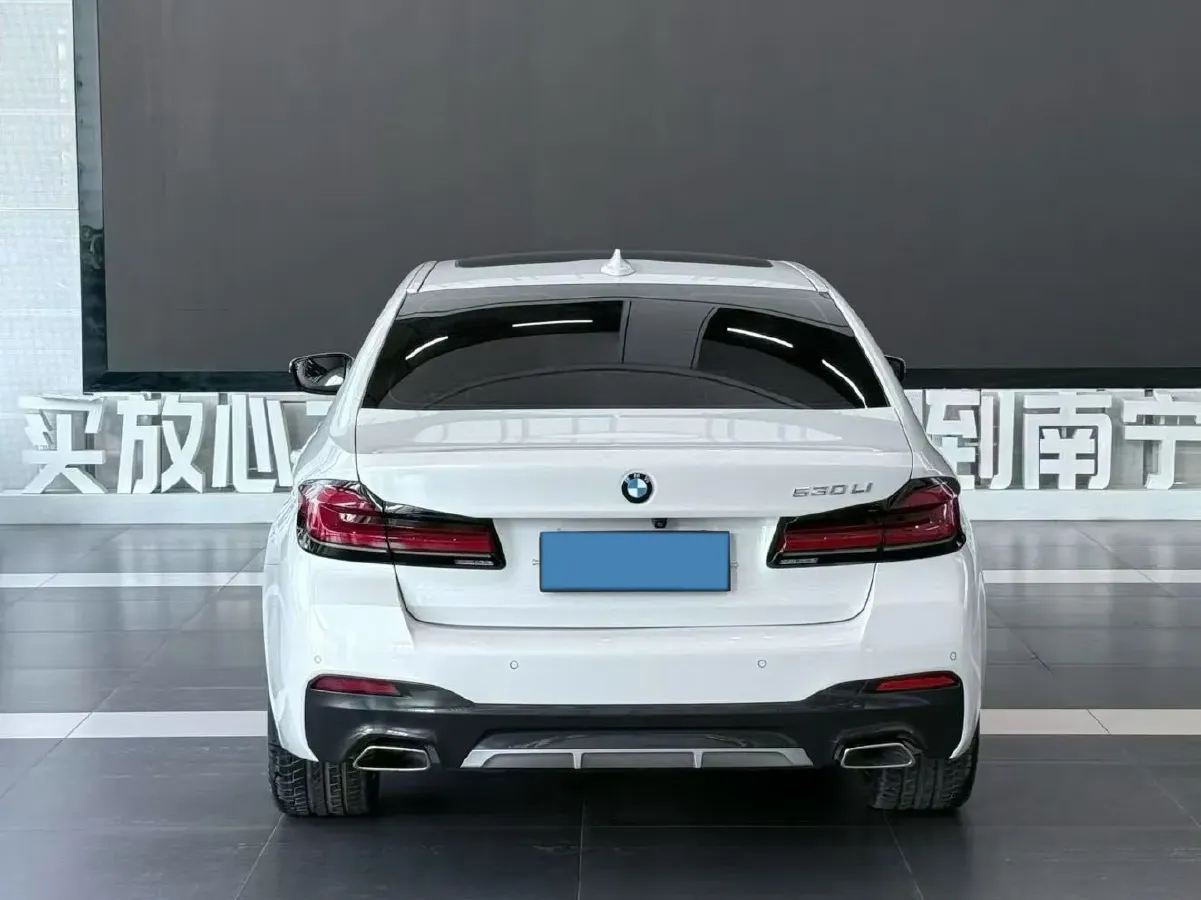 2021 BMW 5 Series 2.0T 252HP L4 8AT,autocango,china used car exporter,china ev exporter,chinese used car exporter,chinese used ev exporter