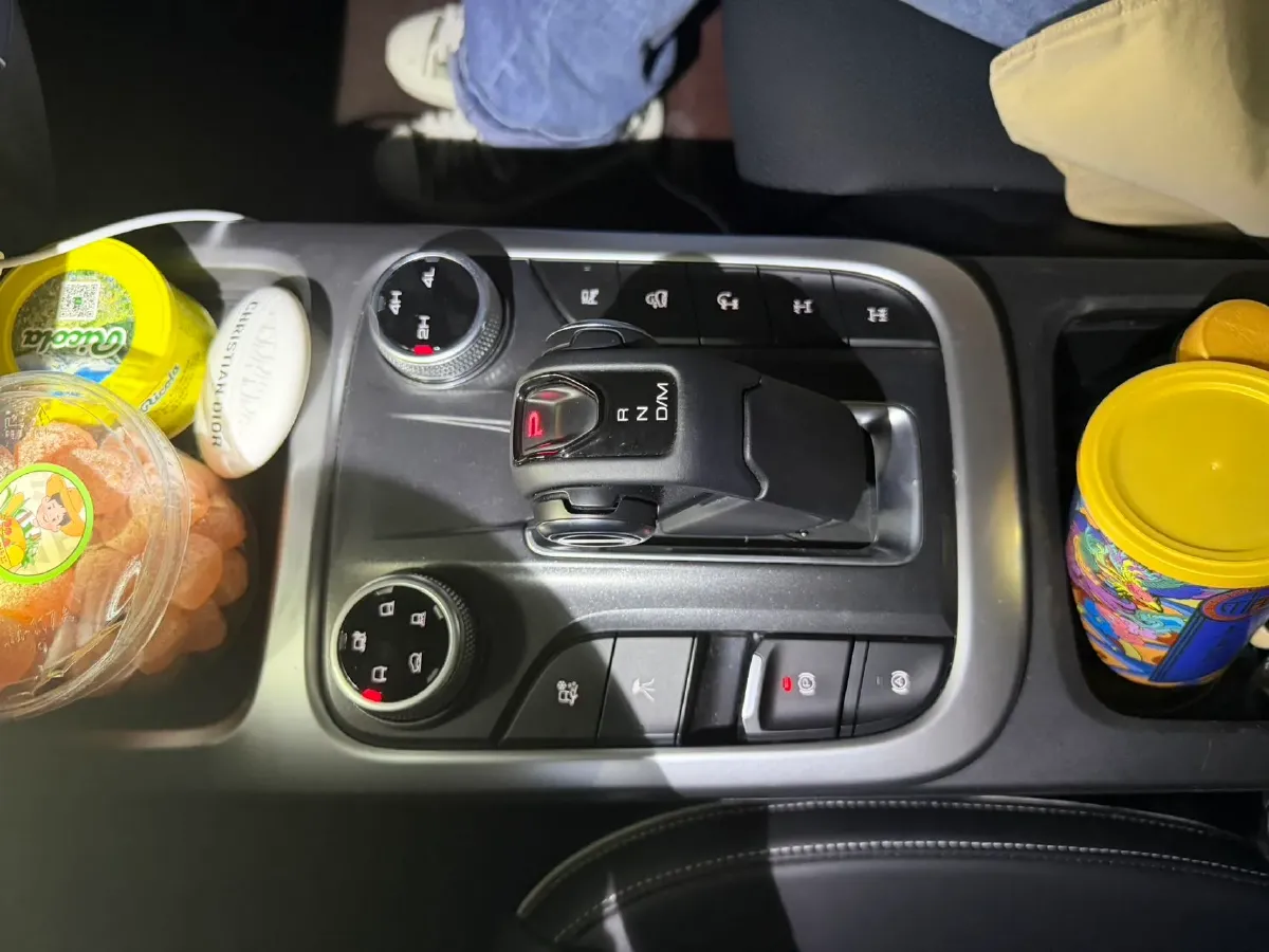 2024 Tank 300 2.0T 227HP L4 8AT,autocango,china used car exporter,china ev exporter,chinese used car exporter,chinese used ev exporter