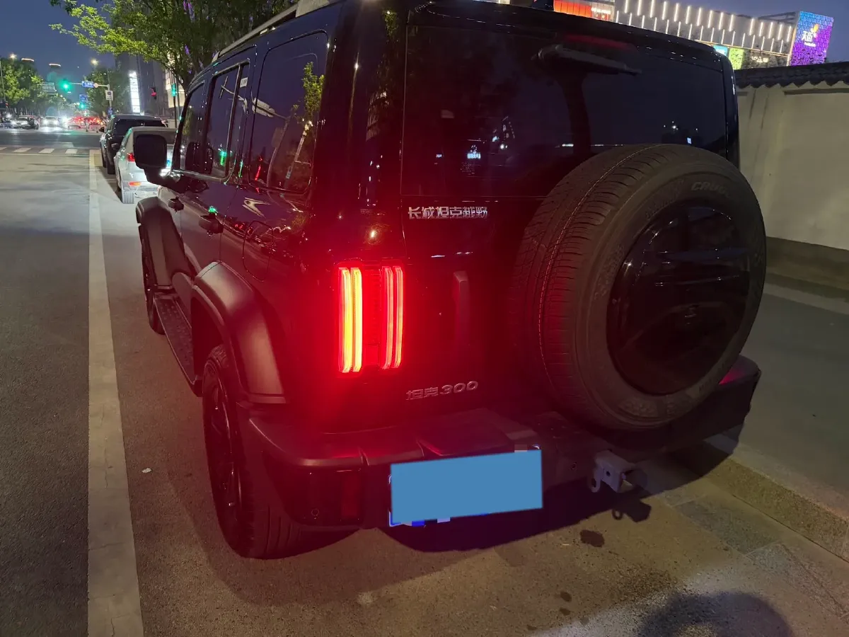 2024 Tank 300 2.0T 227HP L4 8AT,autocango,china used car exporter,china ev exporter,chinese used car exporter,chinese used ev exporter