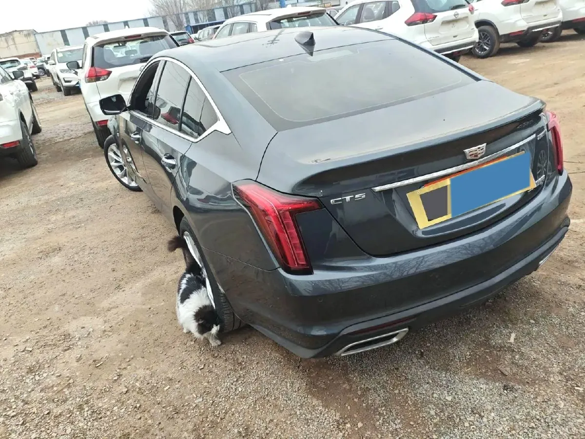 2022 Cadillac CT5 2.0T 237HP L4 10AT,autocango,china used car exporter,china ev exporter,chinese used car exporter,chinese used ev exporter