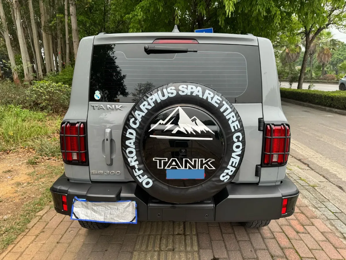 2023 Tank 300 2.0T 227HP L4 8AT,autocango,china used car exporter,china ev exporter,chinese used car exporter,chinese used ev exporter