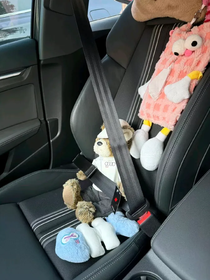 2024 Audi A3 1.4T 150HP L4 7DCT,autocango,china used car exporter,china ev exporter,chinese used car exporter,chinese used ev exporter