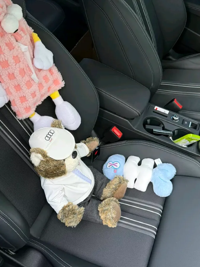 2024 Audi A3 1.4T 150HP L4 7DCT,autocango,china used car exporter,china ev exporter,chinese used car exporter,chinese used ev exporter