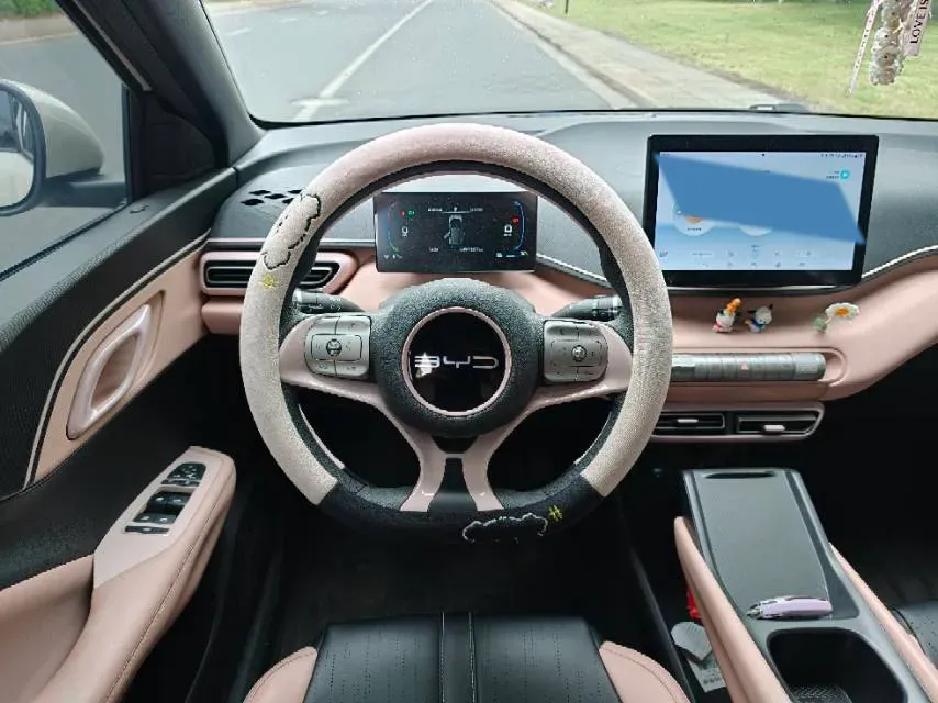 2023 BYD Seagull BEV 30.08KWH,autocango,china used car exporter,china ev exporter,chinese used car exporter,chinese used ev exporter