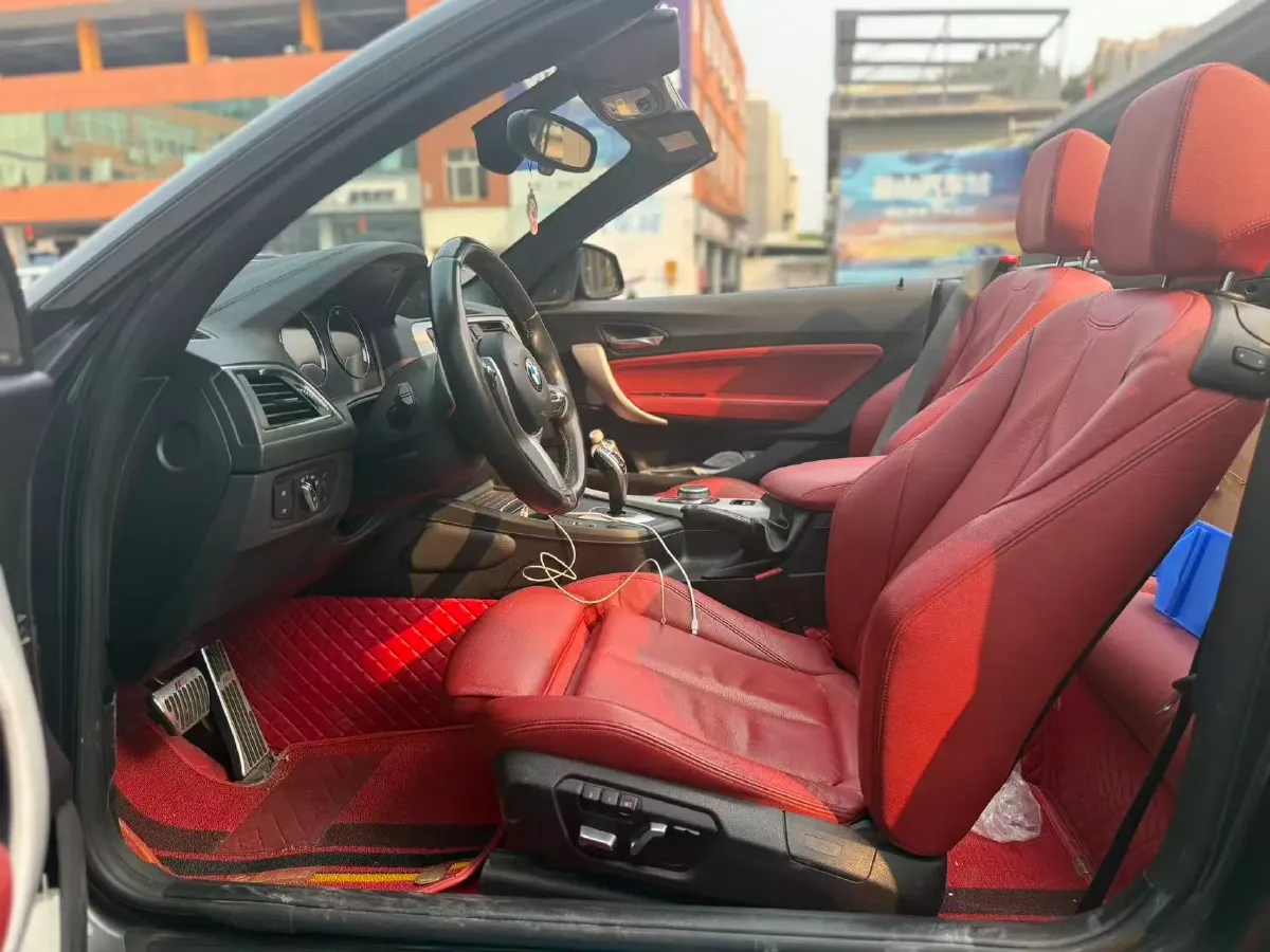 2019 BMW 2 Series 2.0T 184HP L4 8AT,autocango,china used car exporter,china ev exporter,chinese used car exporter,chinese used ev exporter