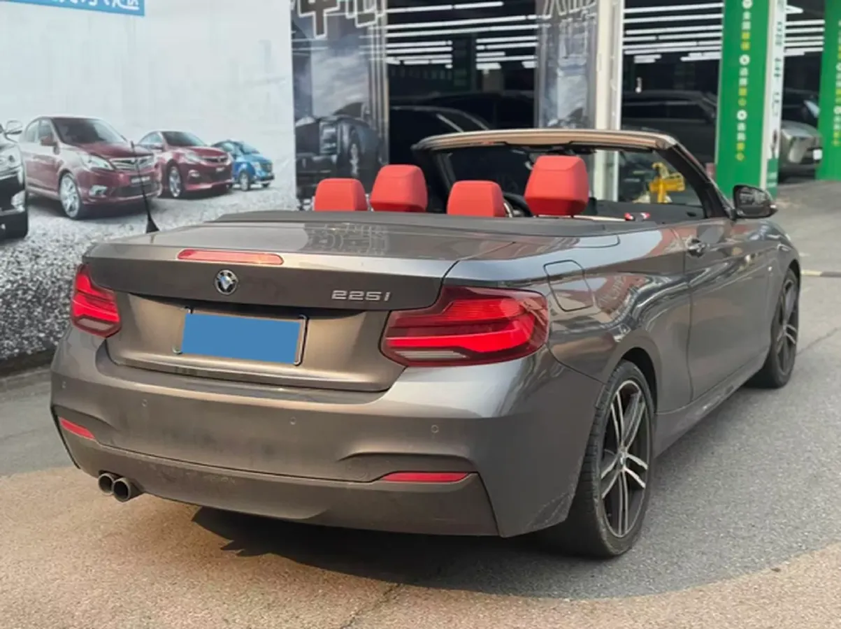 2019 BMW 2 Series 2.0T 184HP L4 8AT,autocango,china used car exporter,china ev exporter,chinese used car exporter,chinese used ev exporter