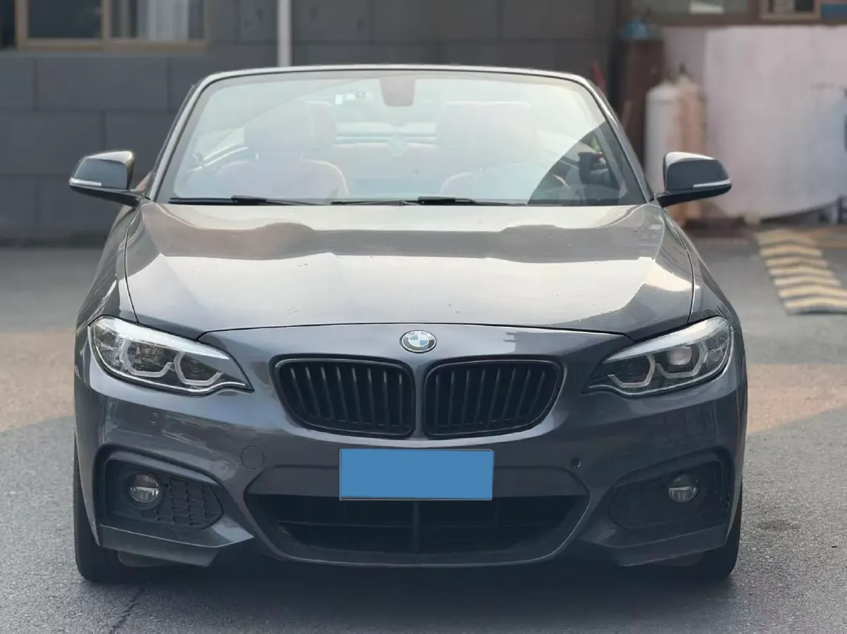 2019 BMW 2 Series 2.0T 184HP L4 8AT,autocango,china used car exporter,china ev exporter,chinese used car exporter,chinese used ev exporter