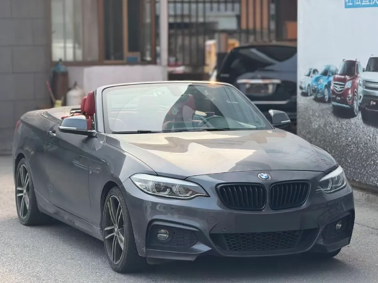 2019 BMW 2 Series 2.0T 184HP L4 8AT,autocango,china used car exporter,china ev exporter,chinese used car exporter,chinese used ev exporter