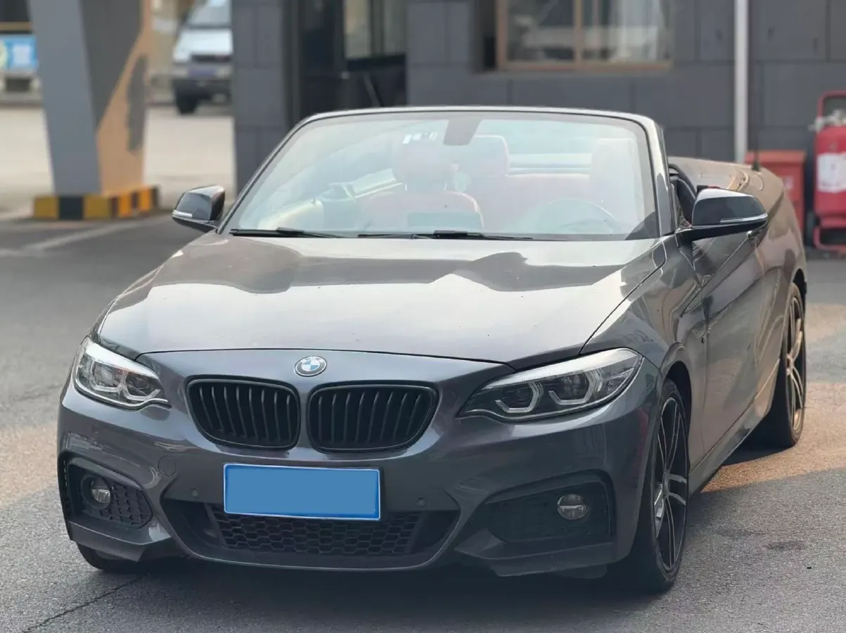 2019 BMW 2 Series 2.0T 184HP L4 8AT,autocango,china used car exporter,china ev exporter,chinese used car exporter,chinese used ev exporter