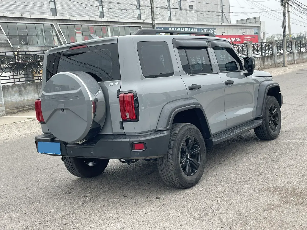 2021 Tank 300 2.0T 227HP L4 8AT,autocango,china used car exporter,china ev exporter,chinese used car exporter,chinese used ev exporter