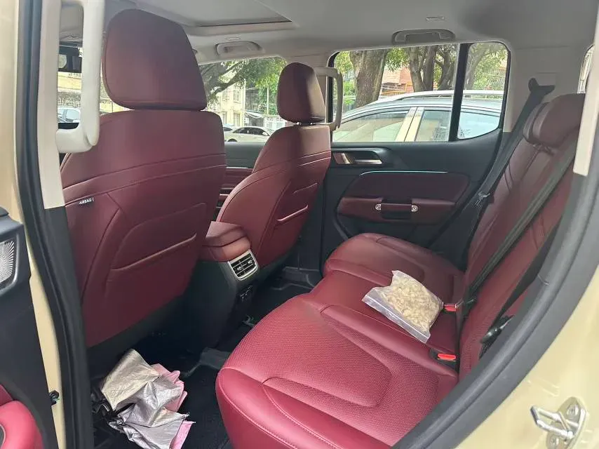 2025 Tank 300 2.0T 227HP L4 9AT,autocango,china used car exporter,china ev exporter,chinese used car exporter,chinese used ev exporter