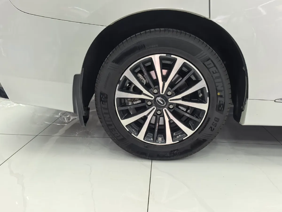 2023 GAC Trumpchi M8 2.0T 252HP L4 8AT,autocango,china used car exporter,china ev exporter,chinese used car exporter,chinese used ev exporter