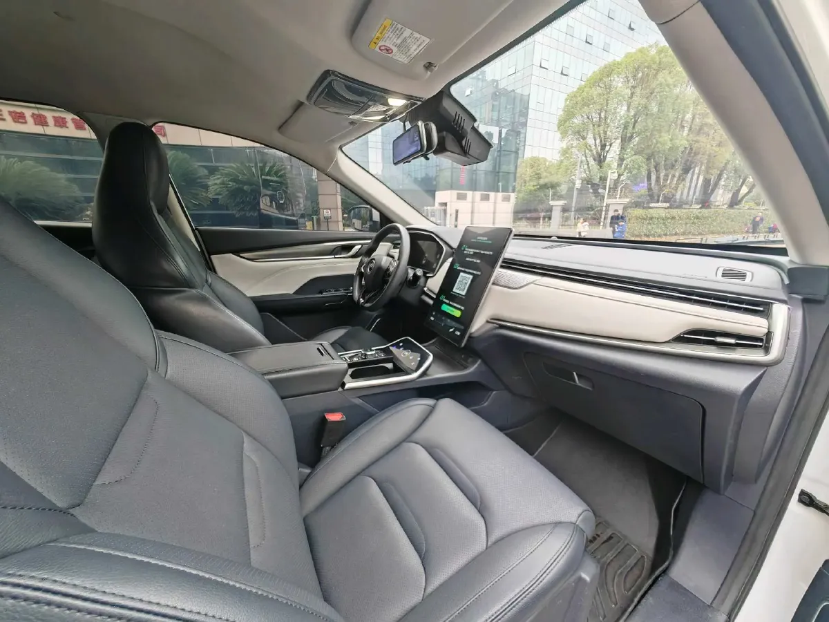 2022 Weltmeister EX5 BEV 52.704KWH,autocango,china used car exporter,china ev exporter,chinese used car exporter,chinese used ev exporter