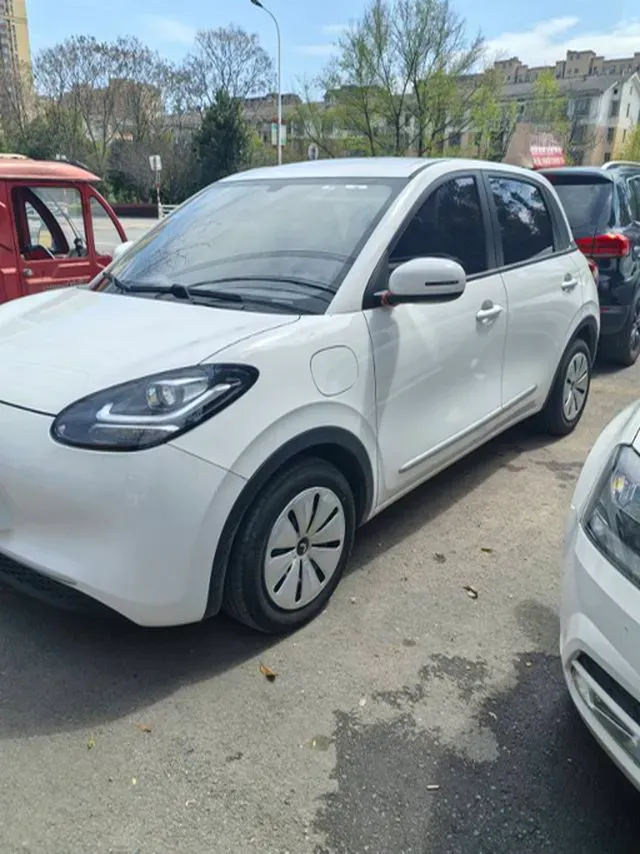 2024 WuLing BinGuo BEV 17.3KWH,autocango,china used car exporter,china ev exporter,chinese used car exporter,chinese used ev exporter