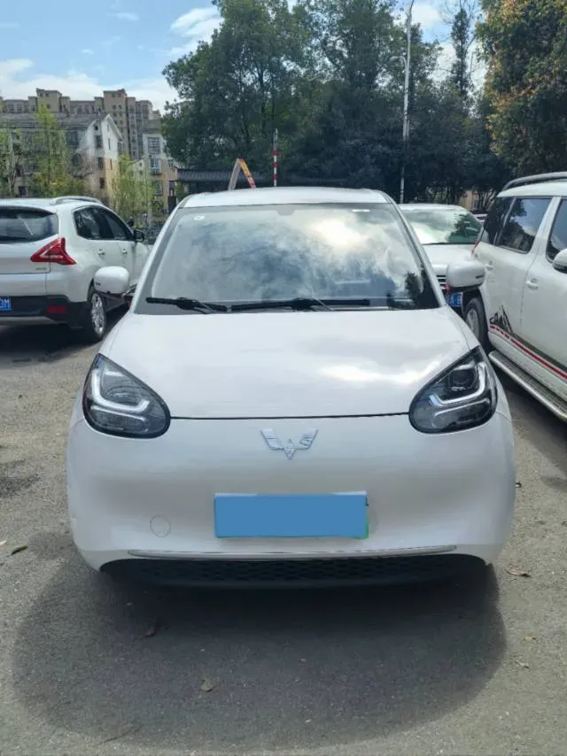 2024 WuLing BinGuo BEV 17.3KWH,autocango,china used car exporter,china ev exporter,chinese used car exporter,chinese used ev exporter