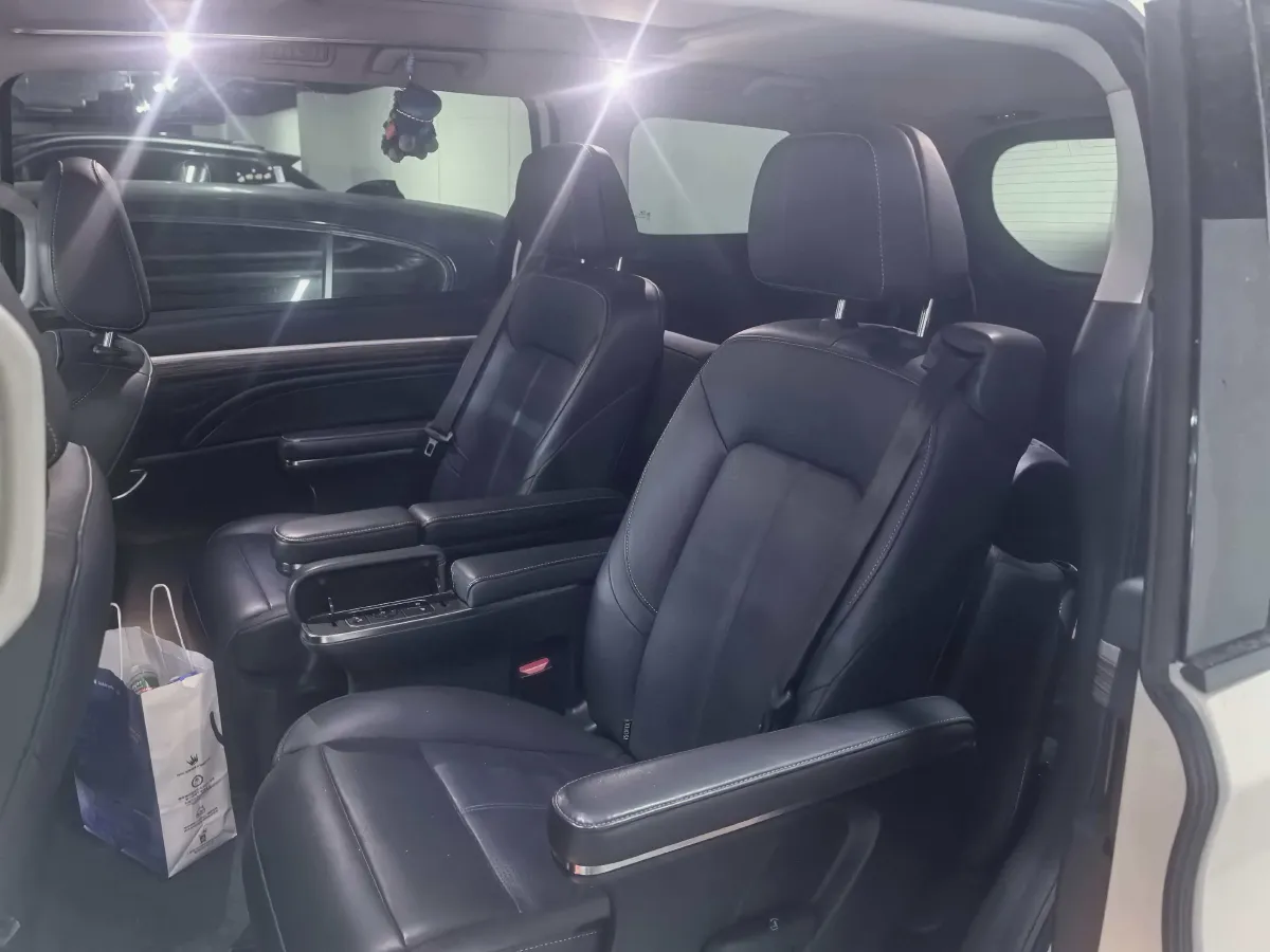 2021 GAC Trumpchi M8 2.0T 252HP L4 8AT,autocango,china used car exporter,china ev exporter,chinese used car exporter,chinese used ev exporter