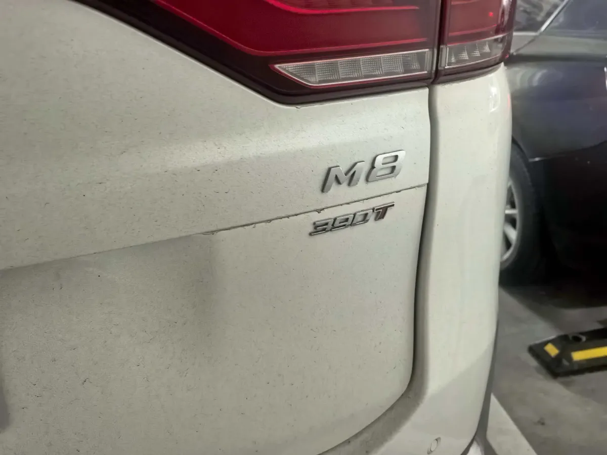 2021 GAC Trumpchi M8 2.0T 252HP L4 8AT,autocango,china used car exporter,china ev exporter,chinese used car exporter,chinese used ev exporter