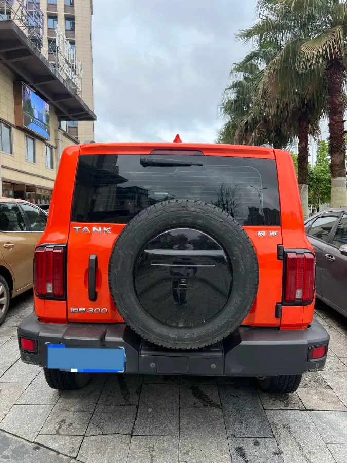 2021 Tank 300 2.0T 227HP L4 8AT,autocango,china used car exporter,china ev exporter,chinese used car exporter,chinese used ev exporter