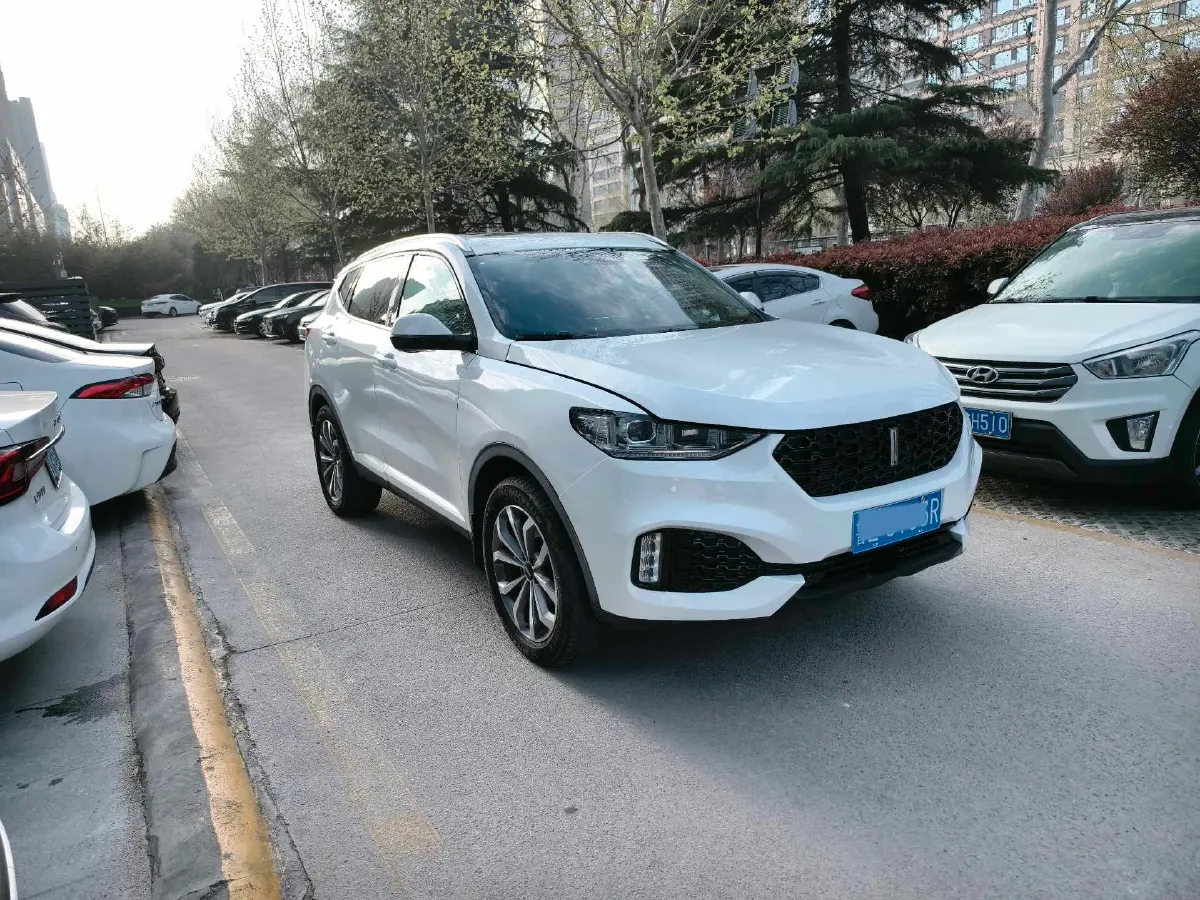 2018 WEY VV6 2.0T 197HP L4 7DCT,autocango,china used car exporter,china ev exporter,chinese used car exporter,chinese used ev exporter
