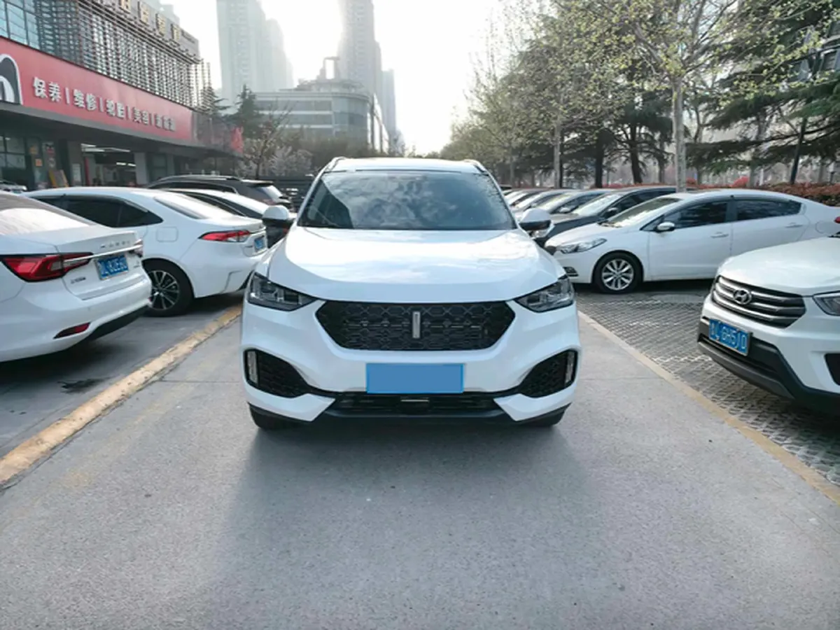 2018 WEY VV6 2.0T 197HP L4 7DCT,autocango,china used car exporter,china ev exporter,chinese used car exporter,chinese used ev exporter
