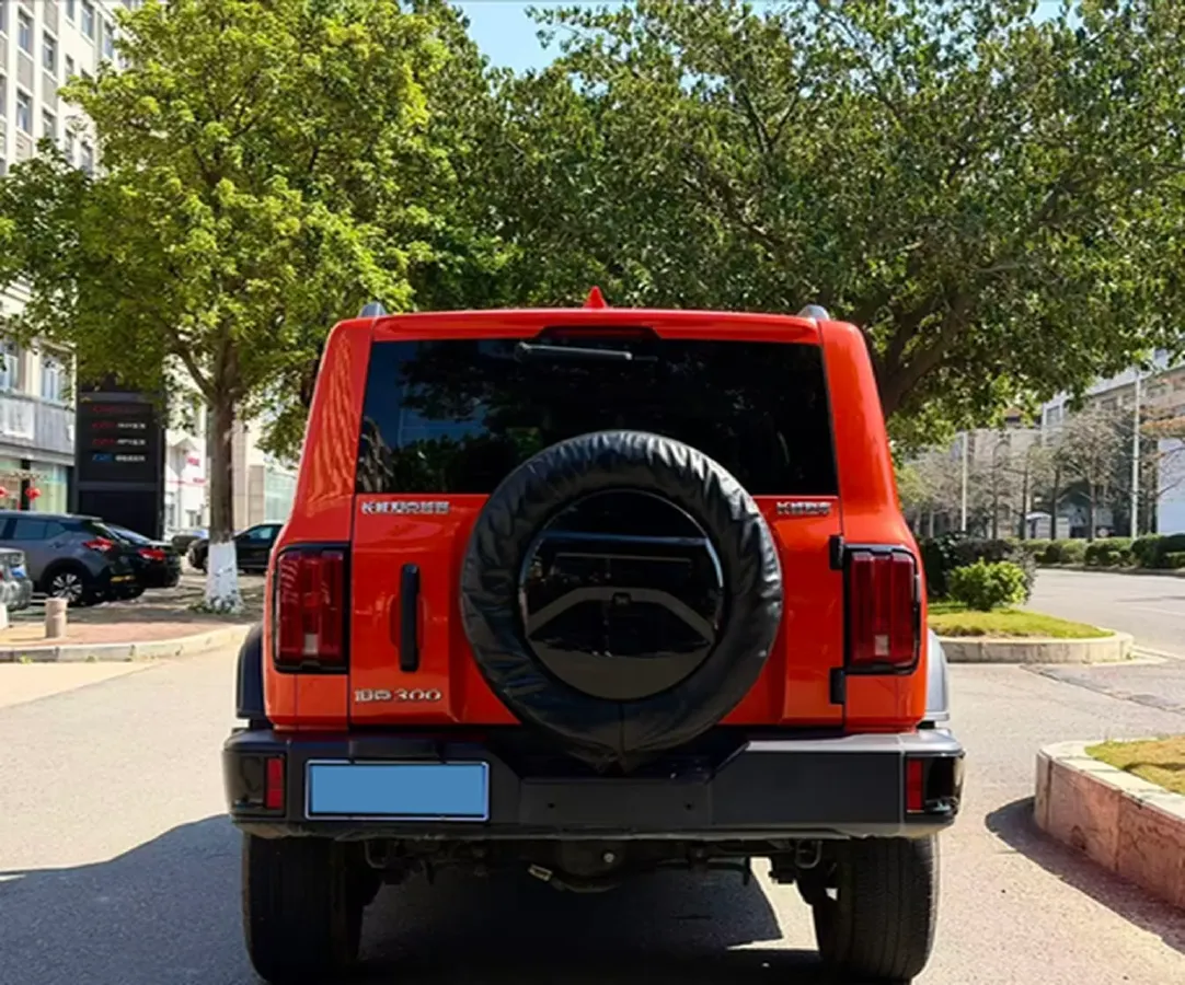 2024 Tank 300 2.0T 227HP L4 8AT,autocango,china used car exporter,china ev exporter,chinese used car exporter,chinese used ev exporter