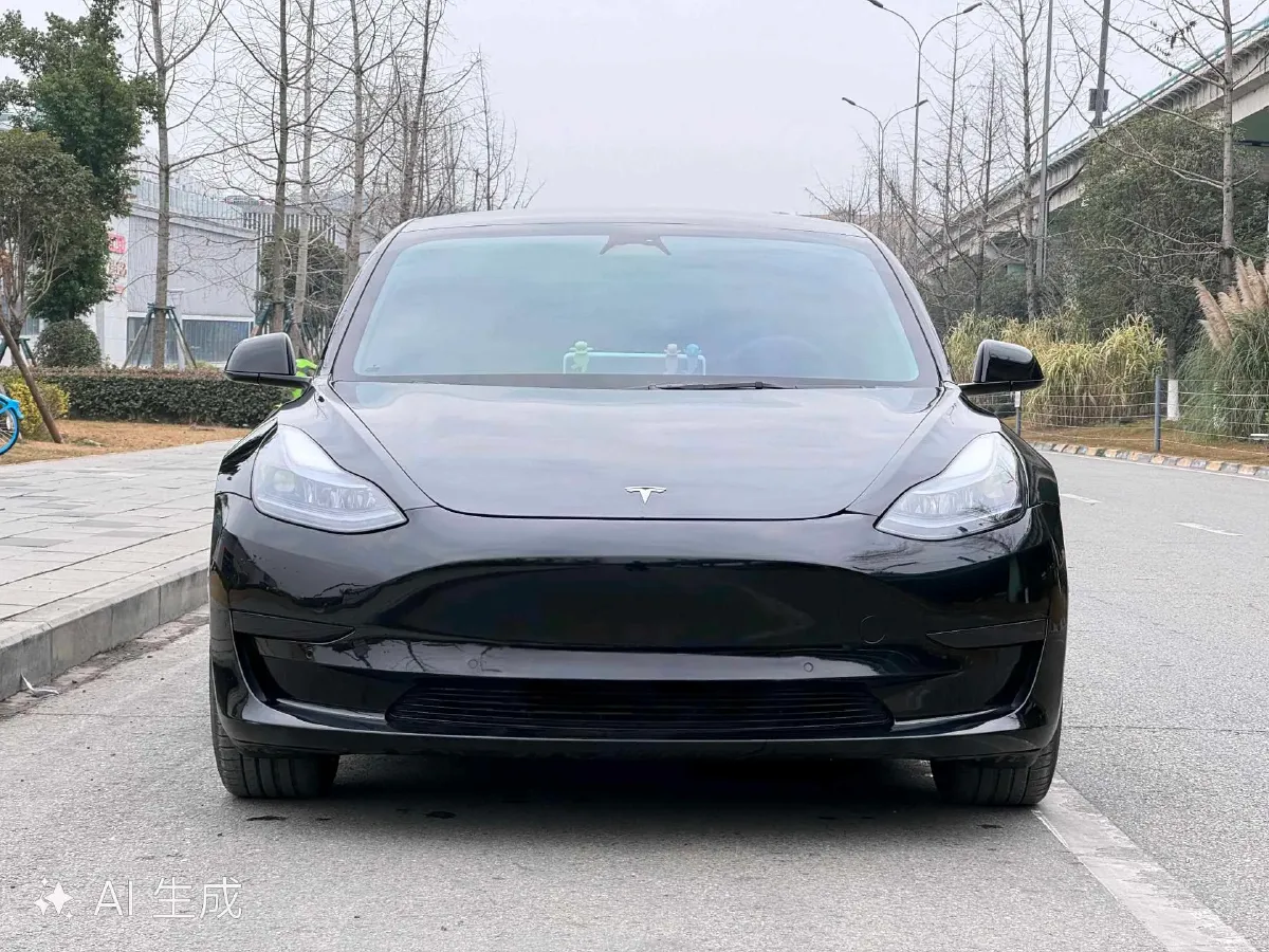 2022 Tesla Model 3 BEV 60KWH,autocango,china used car exporter,china ev exporter,chinese used car exporter,chinese used ev exporter