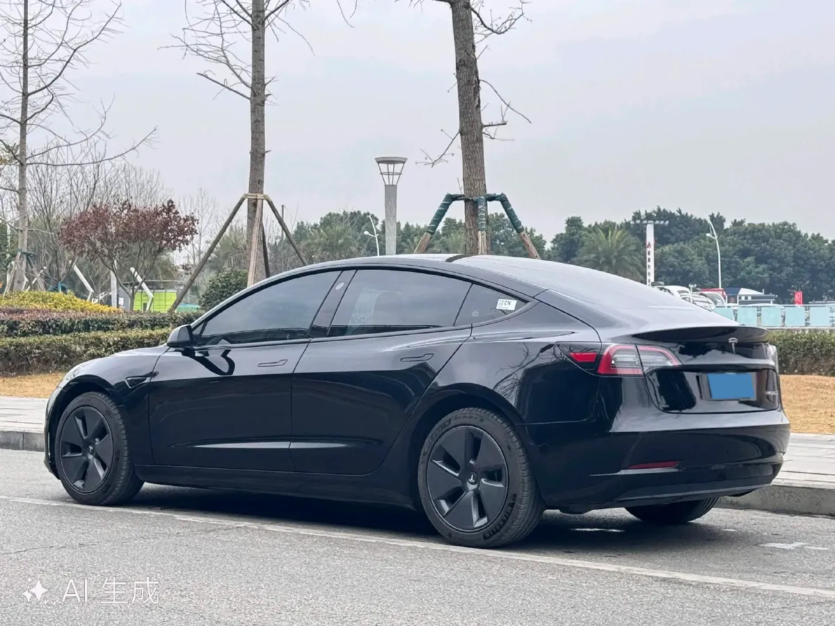 2022 Tesla Model 3 BEV 60KWH,autocango,china used car exporter,china ev exporter,chinese used car exporter,chinese used ev exporter