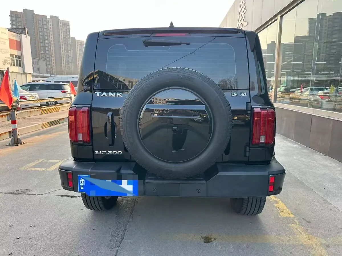 2023 Tank 300 2.0T 227HP L4 8AT,autocango,china used car exporter,china ev exporter,chinese used car exporter,chinese used ev exporter