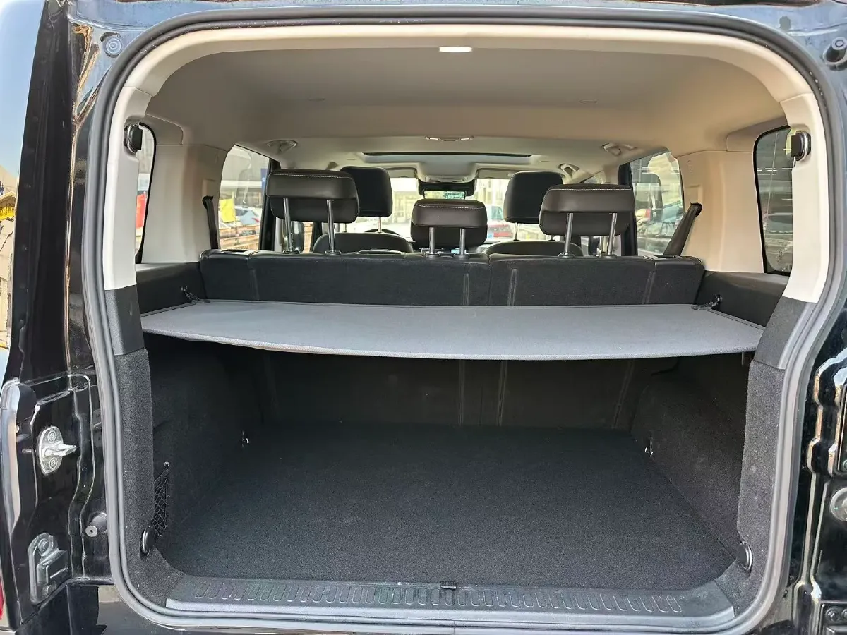 2023 Tank 300 2.0T 227HP L4 8AT,autocango,china used car exporter,china ev exporter,chinese used car exporter,chinese used ev exporter