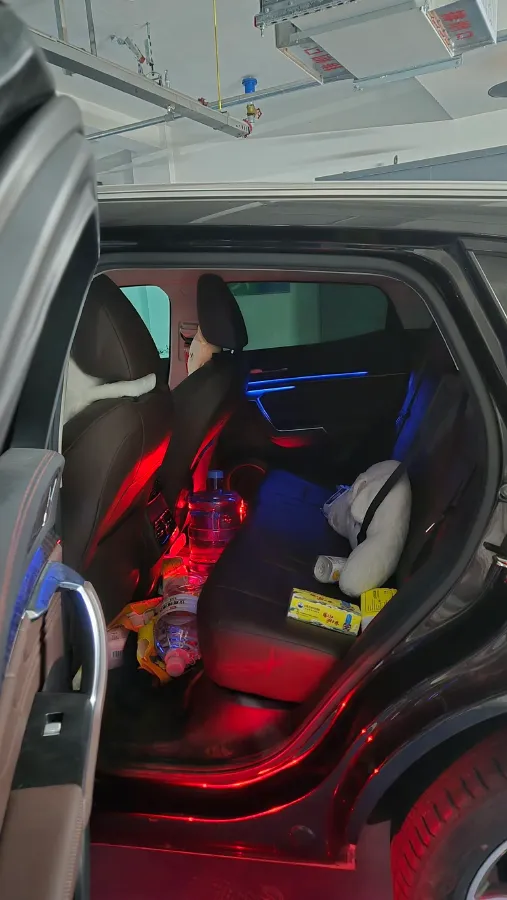 2019 WEY VV5 2.0T 224HP L4 7DCT,autocango,china used car exporter,china ev exporter,chinese used car exporter,chinese used ev exporter