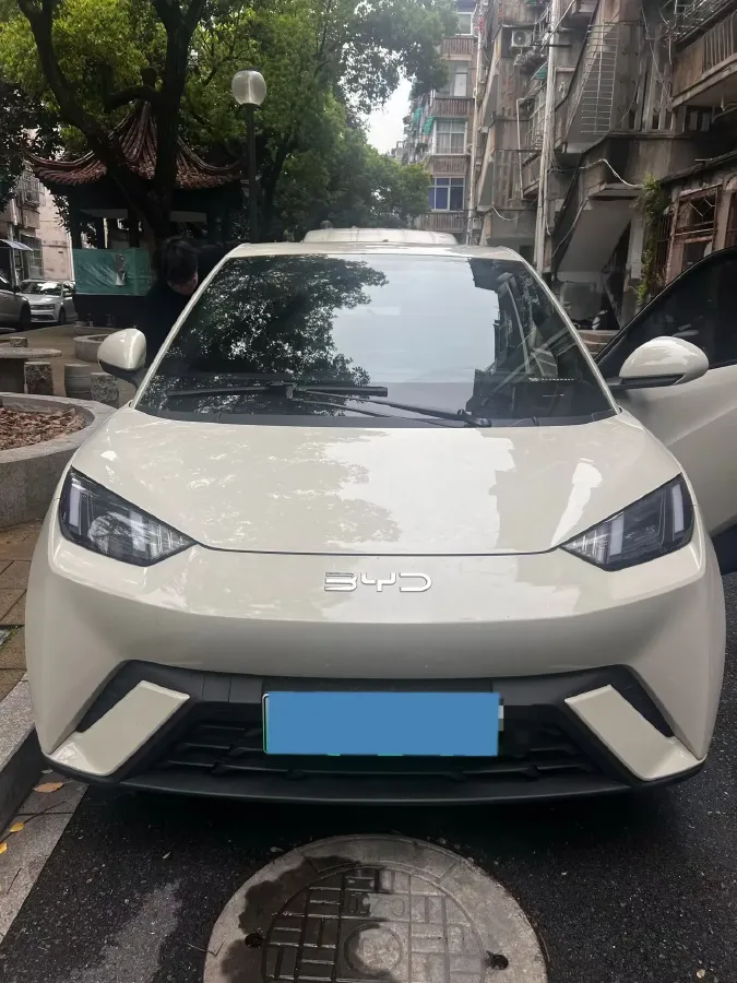 2024 BYD Seagull BEV 38.88KWH,autocango,china used car exporter,china ev exporter,chinese used car exporter,chinese used ev exporter