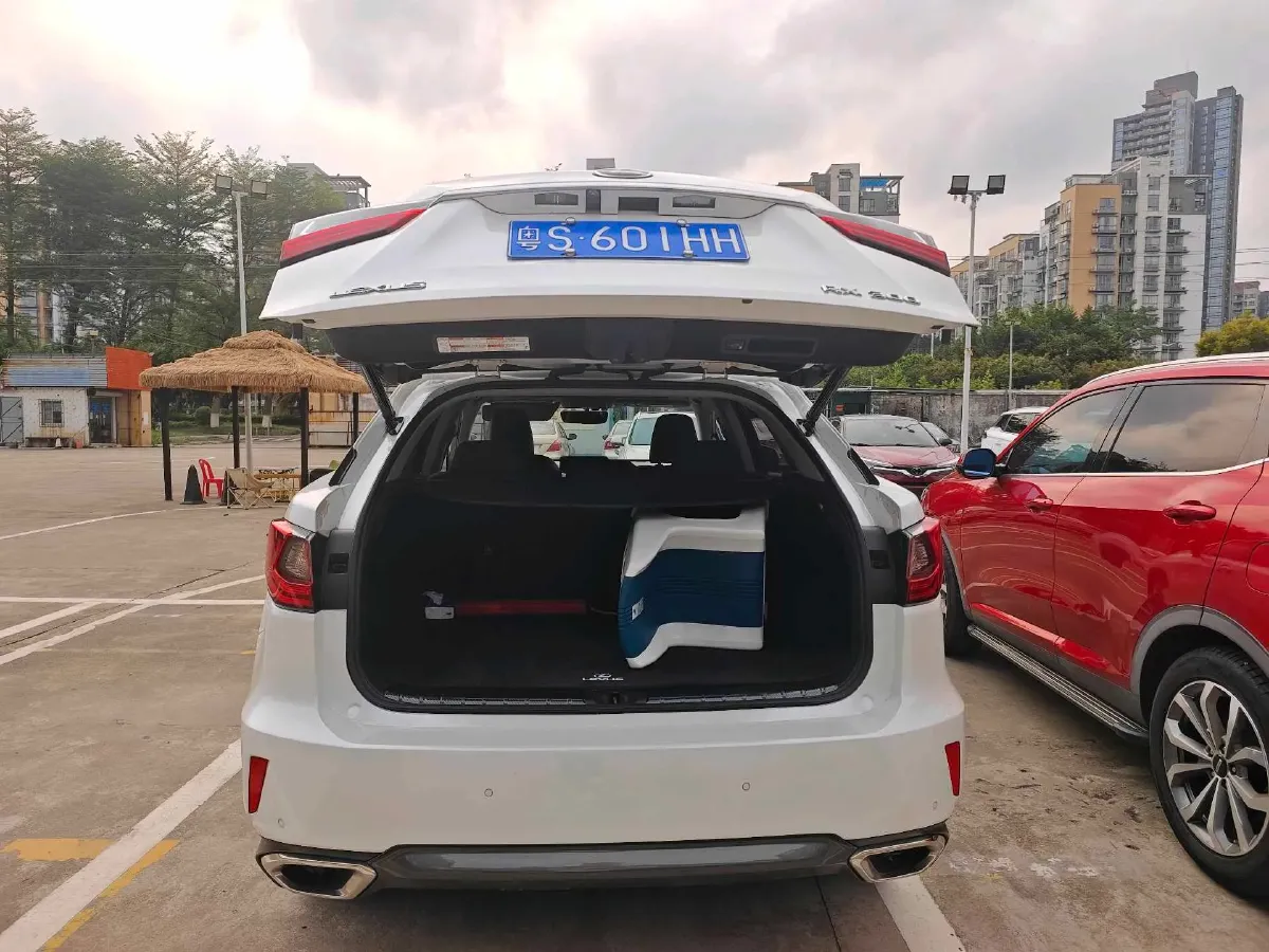 2020 Lexus RX 2.0T 231HP L4 6AT,autocango,china used car exporter,china ev exporter,chinese used car exporter,chinese used ev exporter