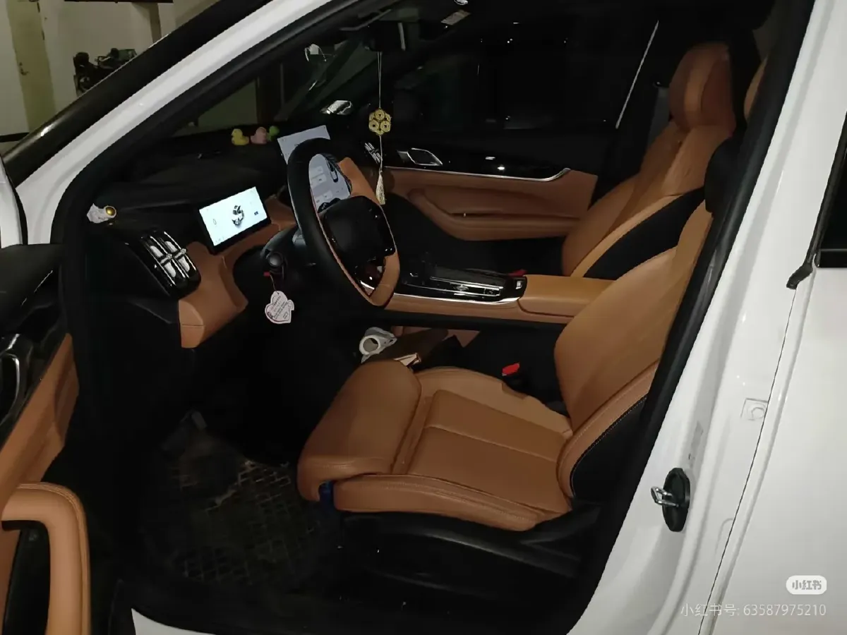 2025 Geely StarRay 1.5T 181HP L4 7DCT,autocango,china used car exporter,china ev exporter,chinese used car exporter,chinese used ev exporter