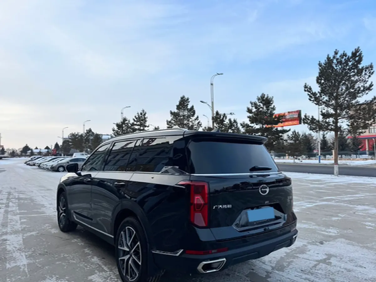 2024 GAC Trumpchi GS8 2.0T 252HP L4 8AT,autocango,china used car exporter,china ev exporter,chinese used car exporter,chinese used ev exporter