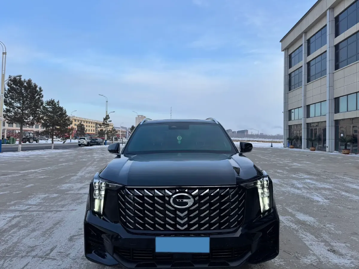 2024 GAC Trumpchi GS8 2.0T 252HP L4 8AT,autocango,china used car exporter,china ev exporter,chinese used car exporter,chinese used ev exporter