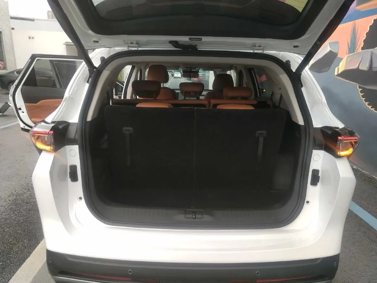 2024 Venucia VX6 BEV 62KWH,autocango,china used car exporter,china ev exporter,chinese used car exporter,chinese used ev exporter