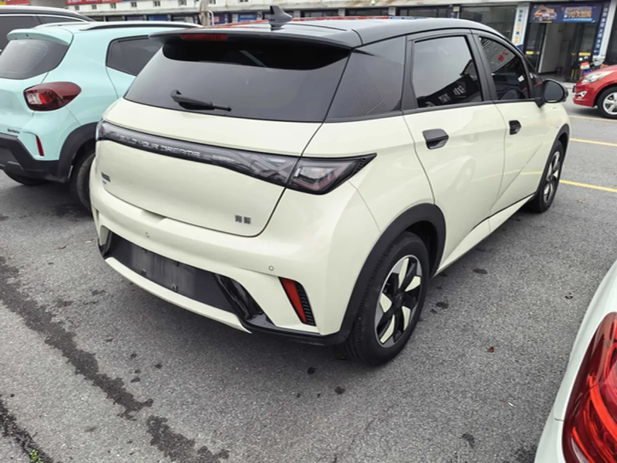 2024 BYD Dolphin BEV 44.928KWH,autocango,china used car exporter,china ev exporter,chinese used car exporter,chinese used ev exporter
