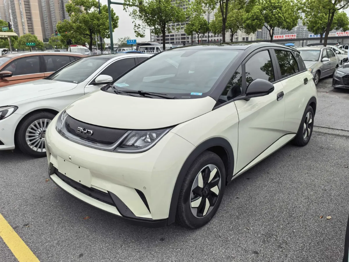 2024 BYD Dolphin BEV 44.928KWH,autocango,china used car exporter,china ev exporter,chinese used car exporter,chinese used ev exporter