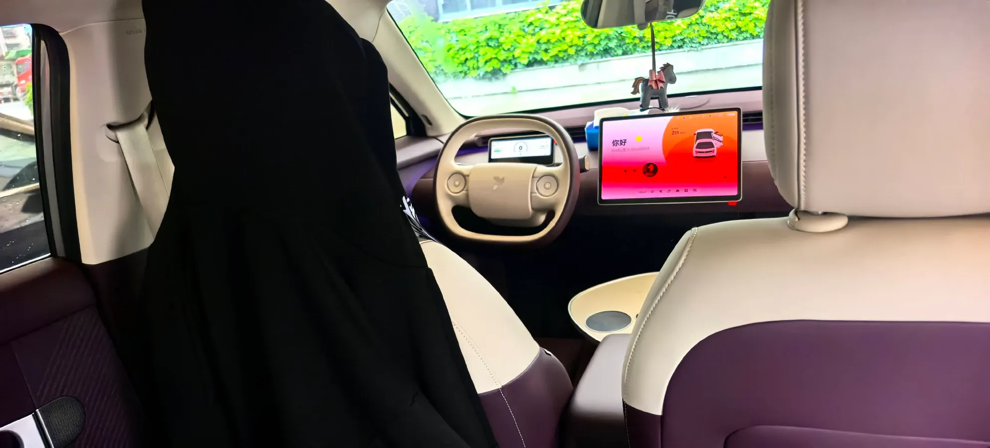 2025 Firefly Firefly BEV,autocango,china used car exporter,china ev exporter,chinese used car exporter,chinese used ev exporter