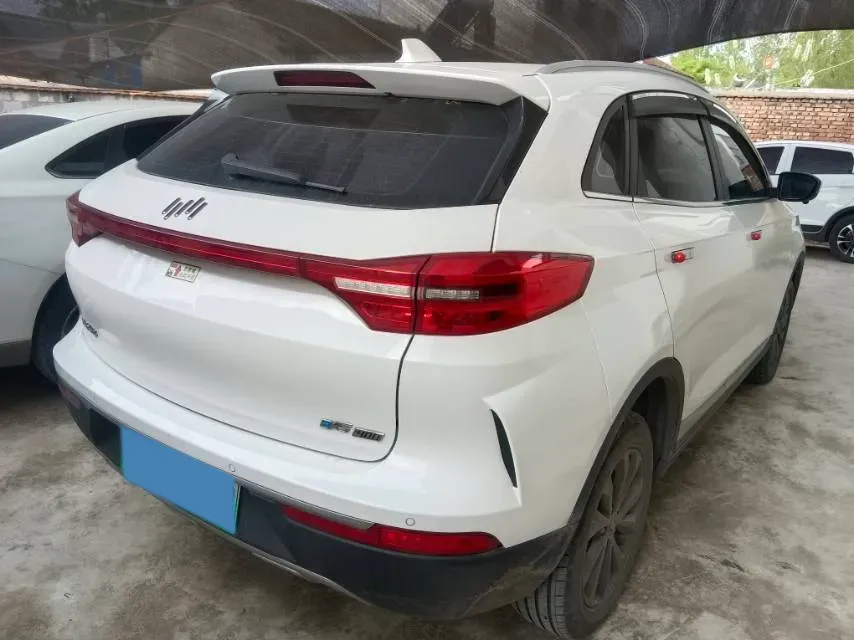 2021 Weltmeister EX5 BEV 52.704KWH,autocango,china used car exporter,china ev exporter,chinese used car exporter,chinese used ev exporter