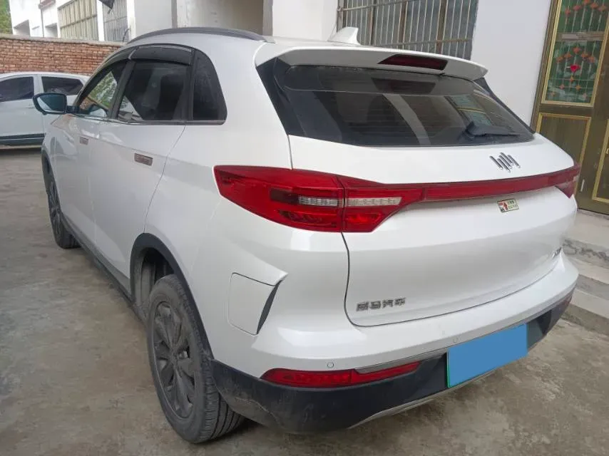 2021 Weltmeister EX5 BEV 52.704KWH,autocango,china used car exporter,china ev exporter,chinese used car exporter,chinese used ev exporter
