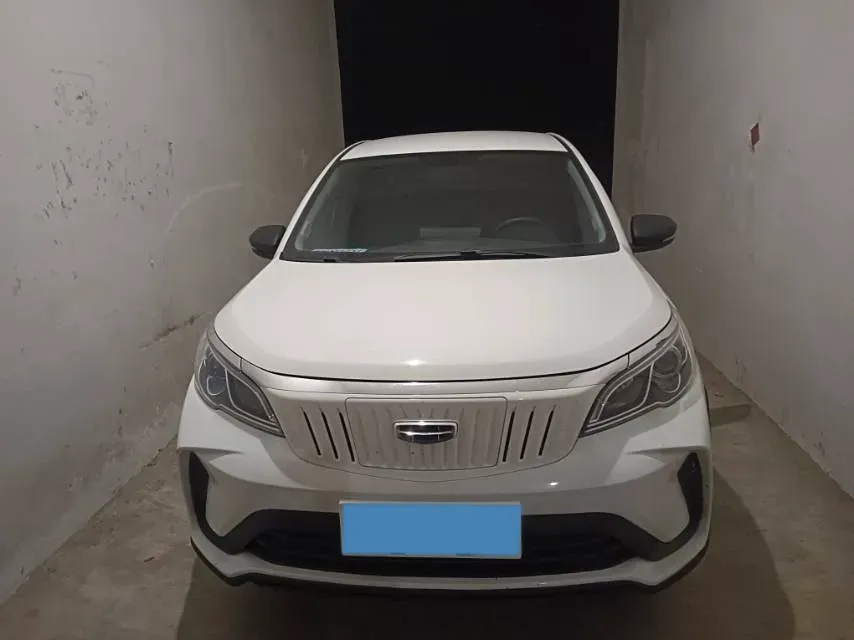 2021 Geometry EX3 BEV 37.23KWH,autocango,china used car exporter,china ev exporter,chinese used car exporter,chinese used ev exporter