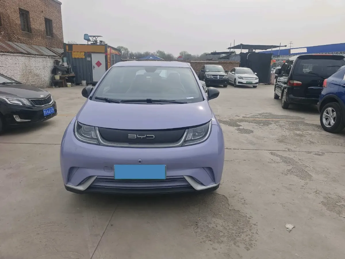 2023 BYD Dolphin BEV 44.928KWH,autocango,china used car exporter,china ev exporter,chinese used car exporter,chinese used ev exporter